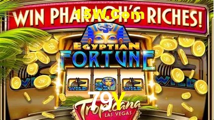 79Y - Winners Celebration